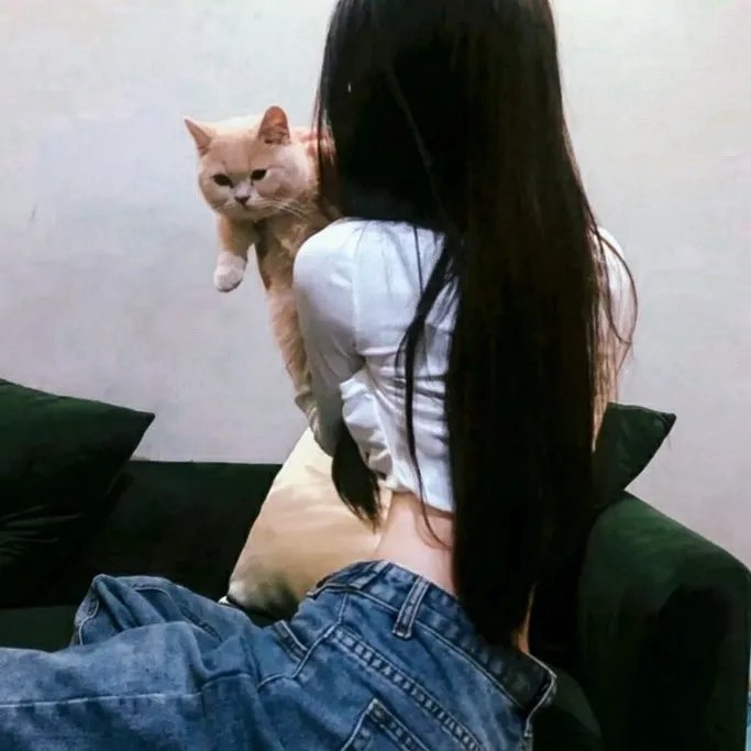 腥风怒吼3